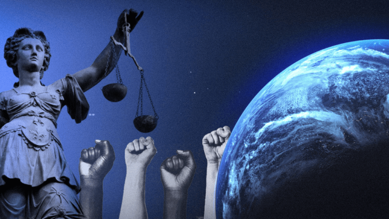 Strategic Climate Litigation - Direct & indirect consequences for democracy.